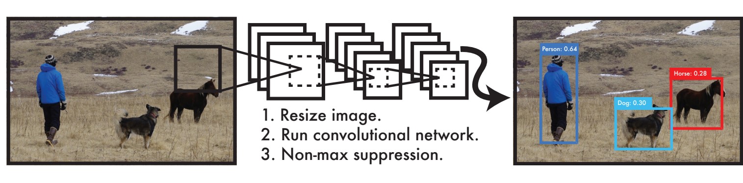 yolo detection system